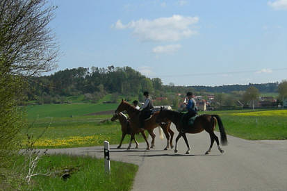 Joggingtour von Khnhardt nach Weihersmhle und zurck