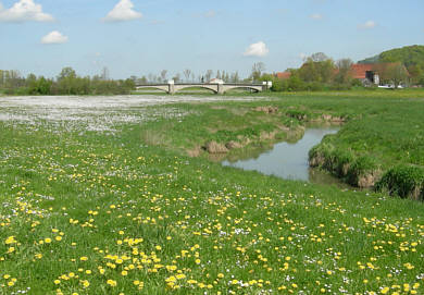 Joggingtour von Khnhardt nach Weihersmhle und zurck