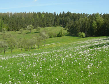 Joggingtour von Khnhardt nach Weihersmhle und zurck