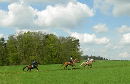 Joggingtour von Khnhardt nach Weihersmhle und zurck