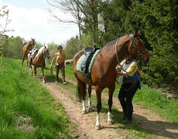 Joggingtour von Khnhardt nach Weihersmhle und zurck