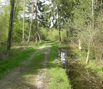 Joggingtour von Khnhardt nach Weihersmhle und zurck