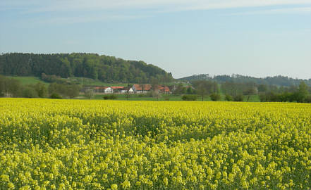 Joggingtour von Khnhardt nach Weihersmhle und zurck