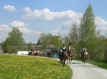 Joggingtour von Khnhardt nach Weihersmhle und zurck