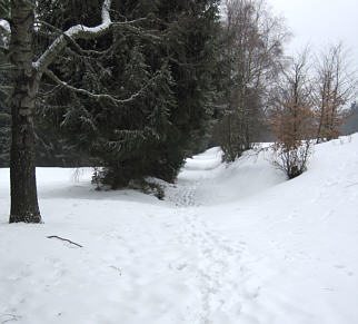 Joggingtour rund um den Ochsenkopf im Fichtelgebirge