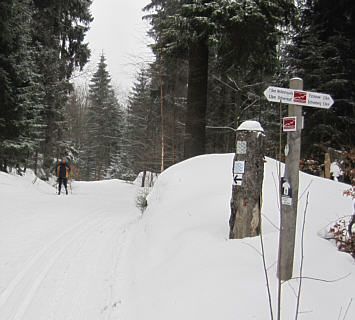 Joggingtour rund um den Ochsenkopf im Fichtelgebirge