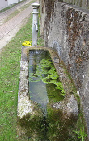 Osterbrunnenlauf 2010