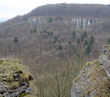 Osterbrunnenlauf 2010