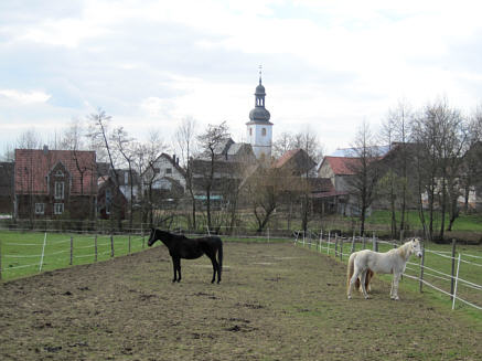 Osterbrunnenlauf 2010