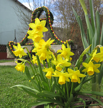 Osterbrunnenlauf 2010