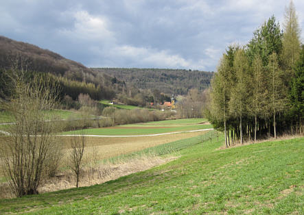 Osterbrunnenlauf 2010