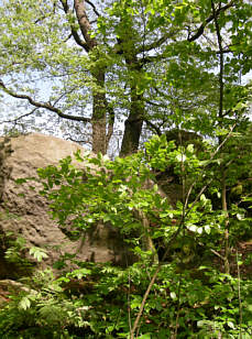 Joggingtour um Eixendorfersee bei Seebarn