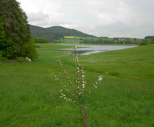 Joggingtour um Eixendorfersee bei Seebarn