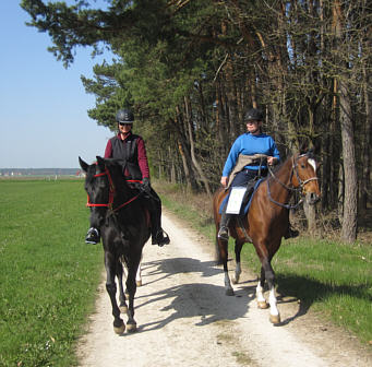 Viertageslauf und -ritt 2010 durch das westliche Mittelfranken