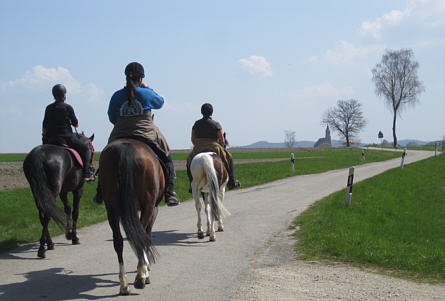 Viertageslauf und -ritt 2010 durch das westliche Mittelfranken