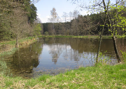 Viertageslauf und -ritt 2010 durch das westliche Mittelfranken