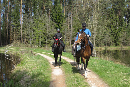 Viertageslauf und -ritt 2010 durch das westliche Mittelfranken