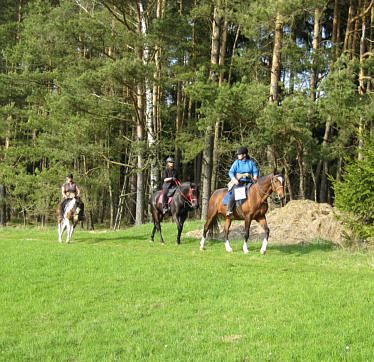 Viertageslauf und -ritt 2010 durch das westliche Mittelfranken