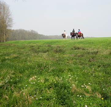 Viertageslauf und -ritt 2010 durch das westliche Mittelfranken