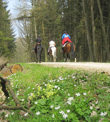 Viertageslauf und -ritt 2010 durch das westliche Mittelfranken