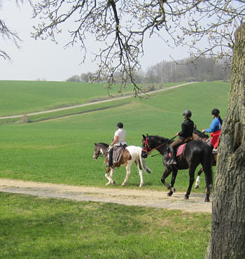 Viertageslauf und -ritt 2010 durch das westliche Mittelfranken