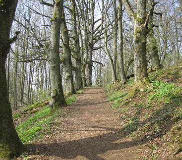 Viertageslauf und -ritt 2010 durch das westliche Mittelfranken