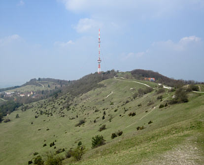 Viertageslauf und -ritt 2010 durch das westliche Mittelfranken