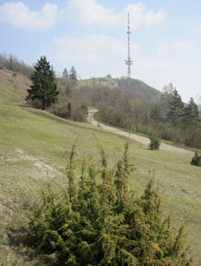 Viertageslauf und -ritt 2010 durch das westliche Mittelfranken