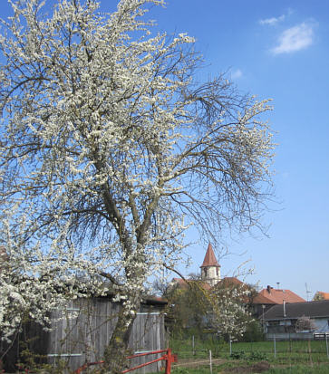 Viertageslauf und -ritt 2010 durch das westliche Mittelfranken