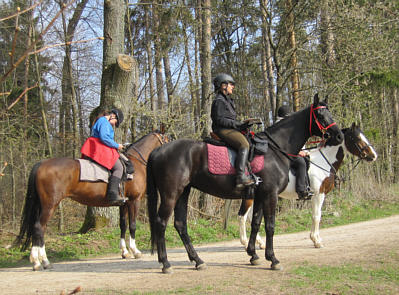 Viertageslauf und -ritt 2010 durch das westliche Mittelfranken