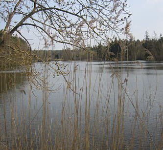 Viertageslauf und -ritt 2010 durch das westliche Mittelfranken