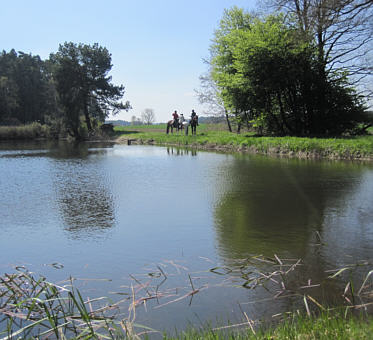 Viertageslauf und -ritt 2010 durch das westliche Mittelfranken