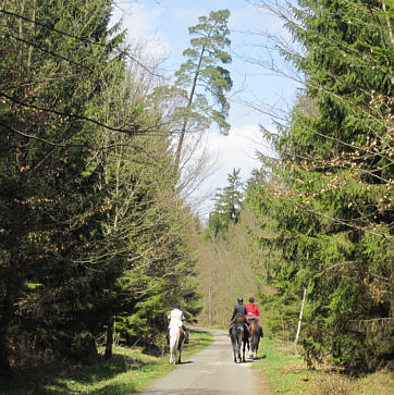 Viertageslauf und -ritt 2010 durch das westliche Mittelfranken