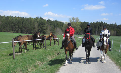 Viertageslauf und -ritt 2010 durch das westliche Mittelfranken