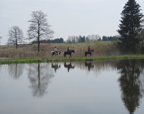 Viertageslauf und -ritt 2010 durch das westliche Mittelfranken