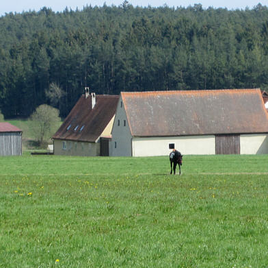 Viertageslauf und -ritt 2010 durch das westliche Mittelfranken