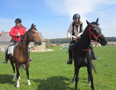 Viertageslauf und -ritt 2010 durch das westliche Mittelfranken