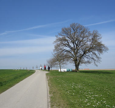 Viertageslauf und -ritt 2010 durch das westliche Mittelfranken