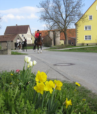 Viertageslauf und -ritt 2010 durch das westliche Mittelfranken