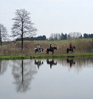 Viertageslauf und -ritt 2010 durch das westliche Mittelfranken