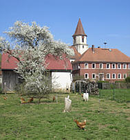 Viertageslauf und -ritt 2010 durch das westliche Mittelfranken