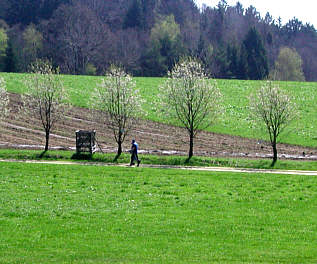 Vom Drei-Burgenland-Marathon