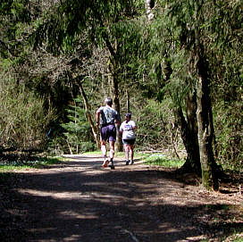 Vom Drei-Burgenland-Marathon