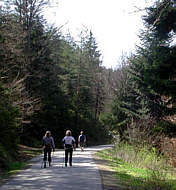 Im tiefen Wald beim Dreiburgenland-Marathon