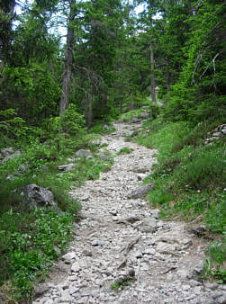 Vom Graubünden Marathon 2005