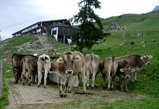 Vom Graubünden Marathon 2005