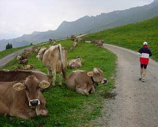 Vom Graubnden Marathon 2005