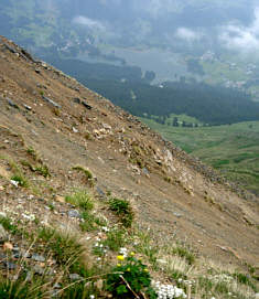 Vom Graubünden Marathon 2005