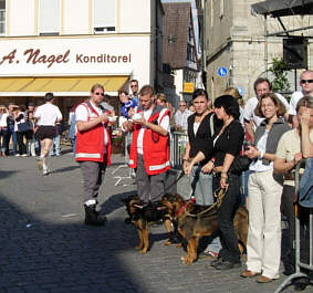 Vom Karolinger Halbmarathon 2005 in Forchheim