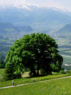 Vom Liechtenstein Marathon 2005